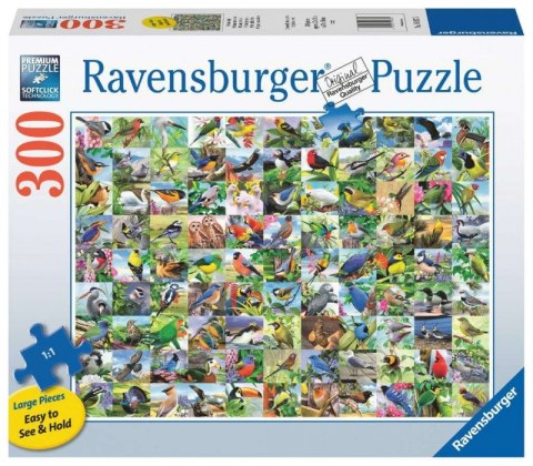 Puzzle 2D Duży Format 99 zachwycających ptaków 300 elementów