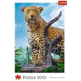 Puzzle 500 elementów - Dziki lampart