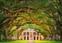 Puzzle 1000 elementów - Oak Alley Plantation