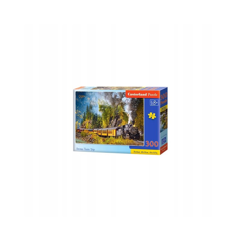 Puzzle steam train trip 300