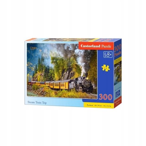 Puzzle steam train trip 300