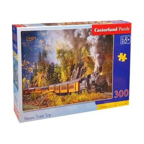 Puzzle steam train trip 300